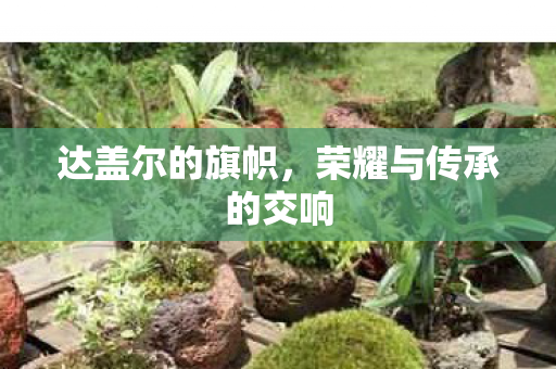 达盖尔的旗帜，荣耀与传承的交响