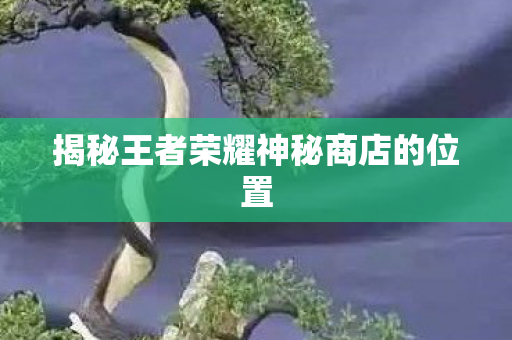 揭秘王者荣耀神秘商店的位置