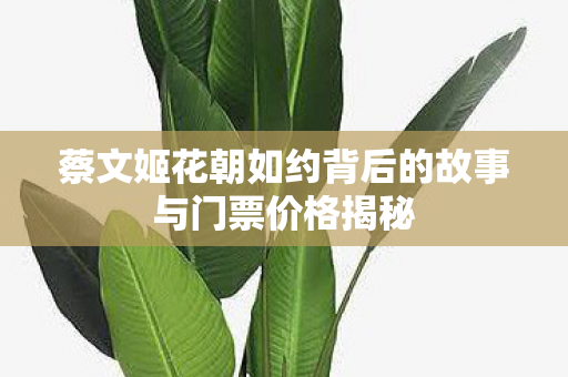 蔡文姬花朝如约背后的故事与门票价格揭秘