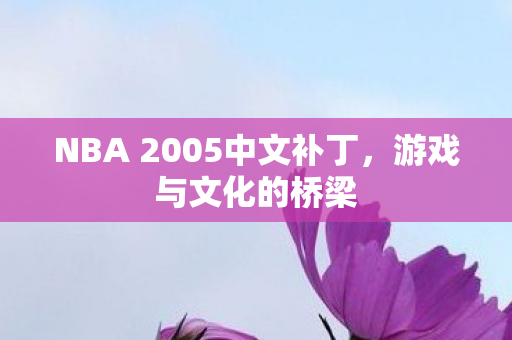 NBA 2005中文补丁，游戏与文化的桥梁