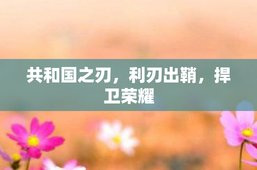 共和国之刃，利刃出鞘，捍卫荣耀