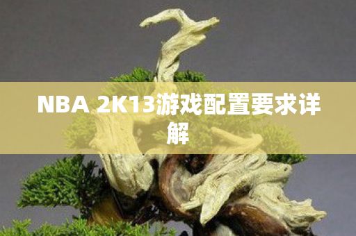 NBA 2K13游戏配置要求详解