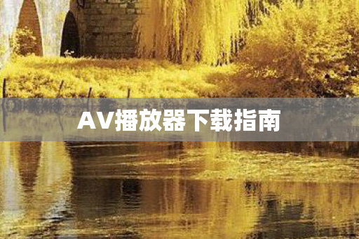AV播放器下载指南
