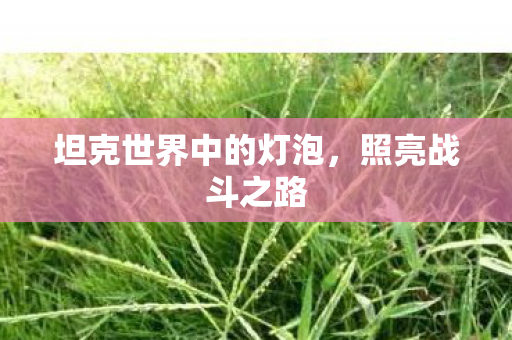 坦克世界中的灯泡，照亮战斗之路