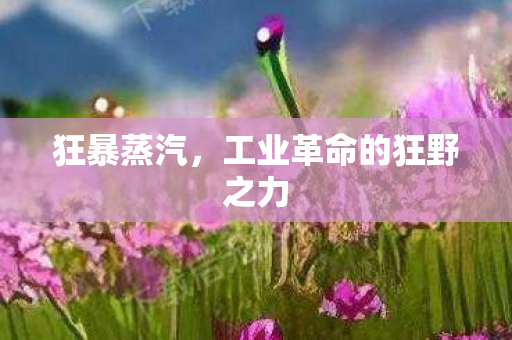 狂暴蒸汽，工业革命的狂野之力