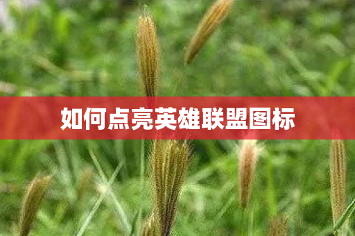 如何点亮英雄联盟图标