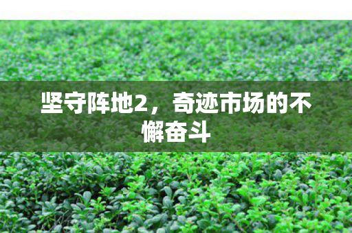 坚守阵地2，奇迹市场的不懈奋斗