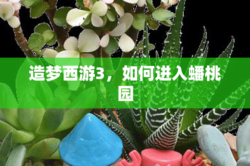 造梦西游3，如何进入蟠桃园