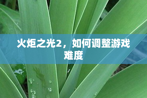 火炬之光2，如何调整游戏难度