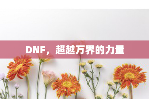 DNF，超越万界的力量
