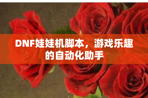 DNF娃娃机脚本，游戏乐趣的自动化助手