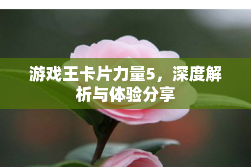 游戏王卡片力量5，深度解析与体验分享