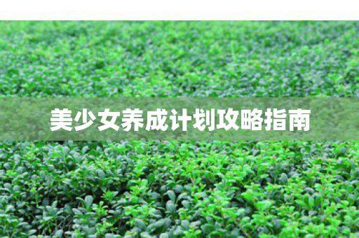 美少女养成计划攻略指南