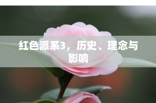 红色派系3，历史、理念与影响