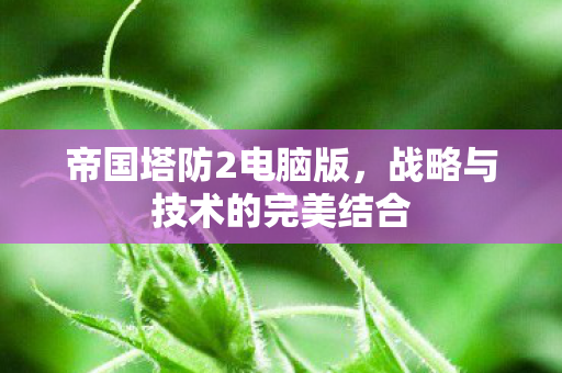 帝国塔防2电脑版，战略与技术的完美结合
