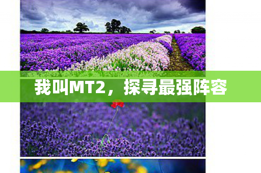 我叫MT2，探寻最强阵容