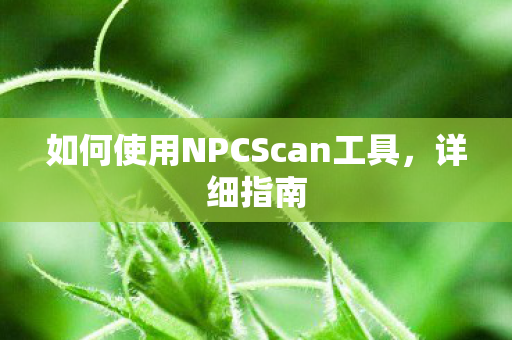 如何使用NPCScan工具，详细指南