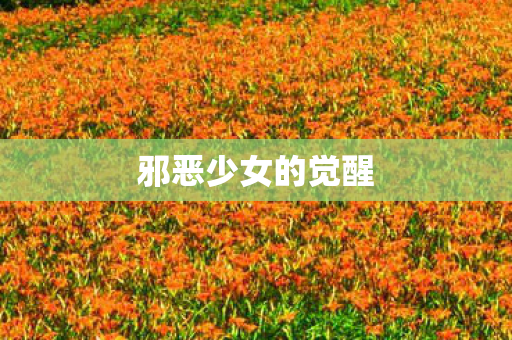 邪恶少女的觉醒