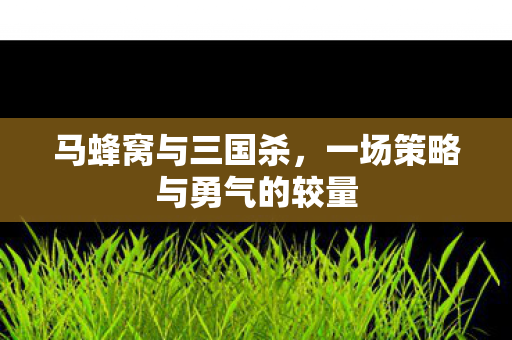 马蜂窝与三国杀，一场策略与勇气的较量
