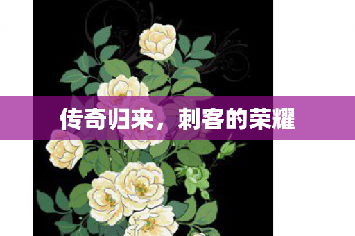 传奇归来，刺客的荣耀