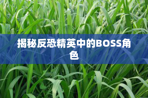 揭秘反恐精英中的BOSS角色