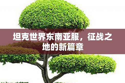 坦克世界东南亚服，征战之地的新篇章