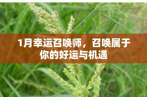 1月幸运召唤师，召唤属于你的好运与机遇