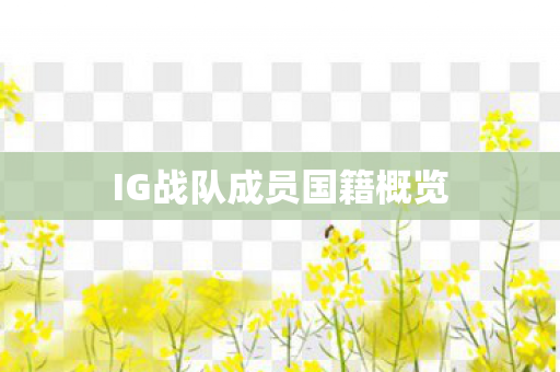 IG战队成员国籍概览