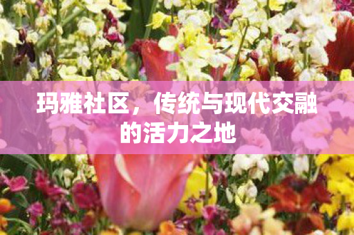 玛雅社区，传统与现代交融的活力之地
