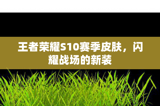 王者荣耀S10赛季皮肤，闪耀战场的新装