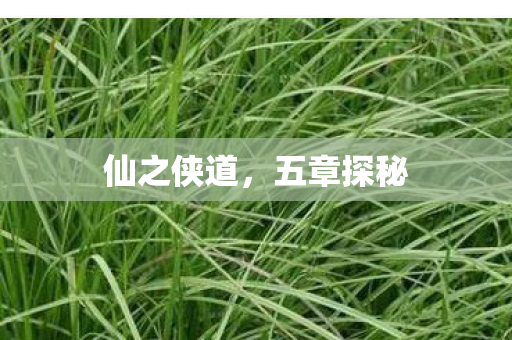 仙之侠道，五章探秘