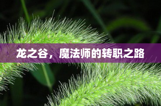 龙之谷，魔法师的转职之路
