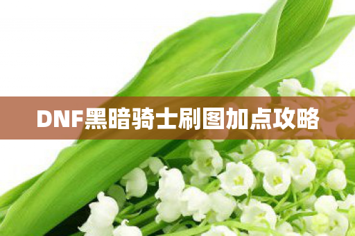 DNF黑暗骑士刷图加点攻略