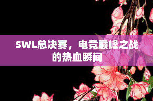SWL总决赛，电竞巅峰之战的热血瞬间