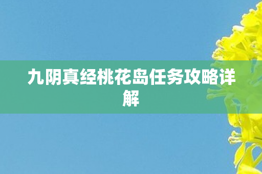 九阴真经桃花岛任务攻略详解