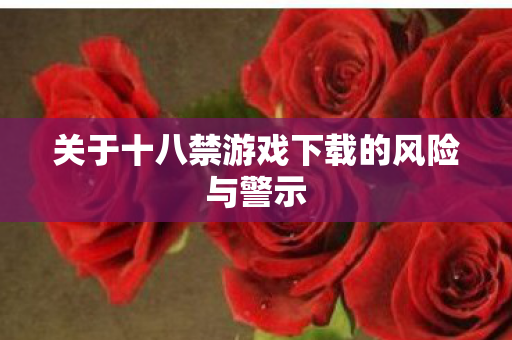 关于十八禁游戏下载的风险与警示
