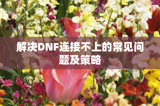 解决DNF连接不上的常见问题及策略