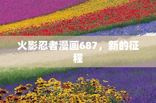 火影忍者漫画687，新的征程