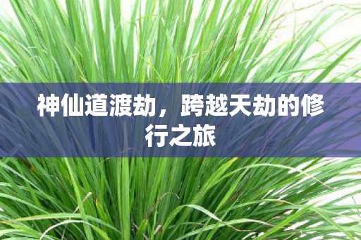神仙道渡劫，跨越天劫的修行之旅