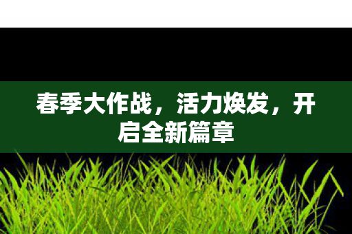 春季大作战，活力焕发，开启全新篇章