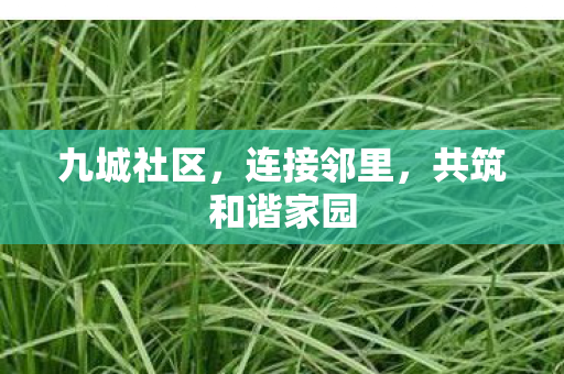 九城社区，连接邻里，共筑和谐家园