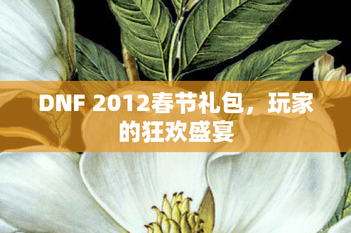DNF 2012春节礼包，玩家的狂欢盛宴