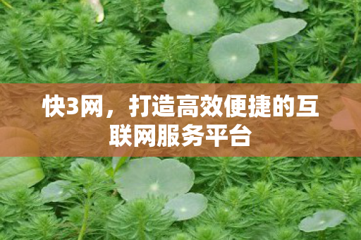快3网，打造高效便捷的互联网服务平台