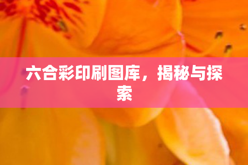 六合彩印刷图库，揭秘与探索