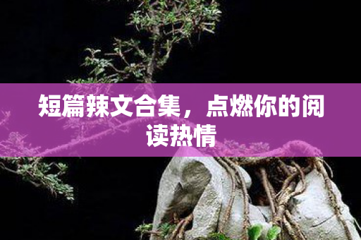 短篇辣文合集，点燃你的阅读热情