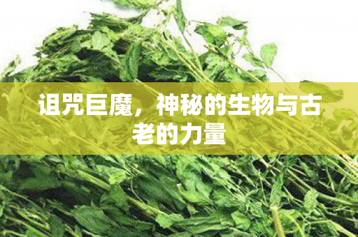 诅咒巨魔，神秘的生物与古老的力量