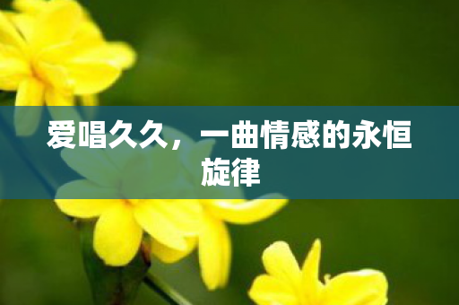 爱唱久久，一曲情感的永恒旋律