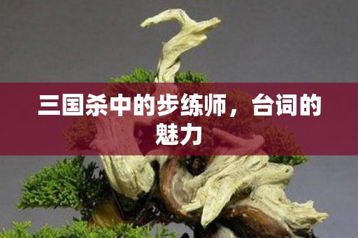 三国杀中的步练师，台词的魅力