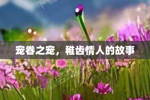 宠眷之宠，稚齿情人的故事