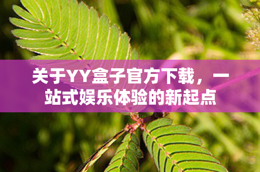 关于YY盒子官方下载，一站式娱乐体验的新起点